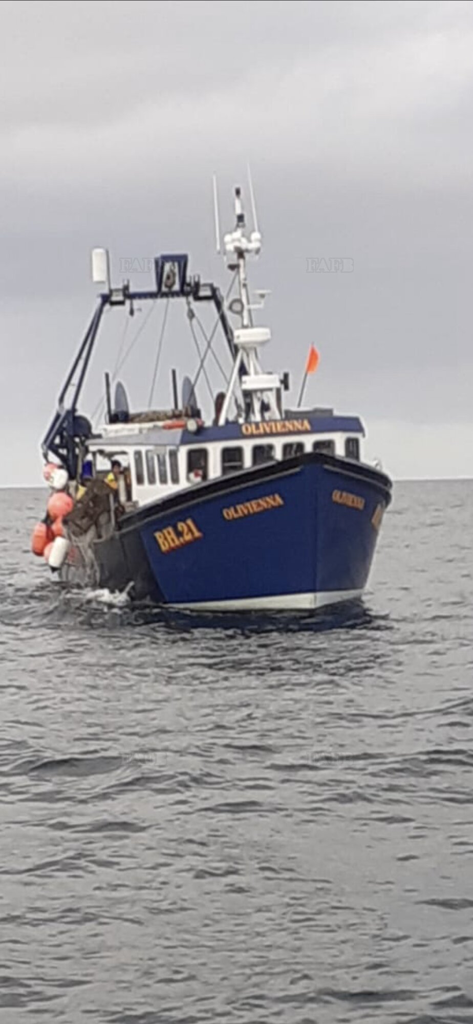 Large picture for advert 115409