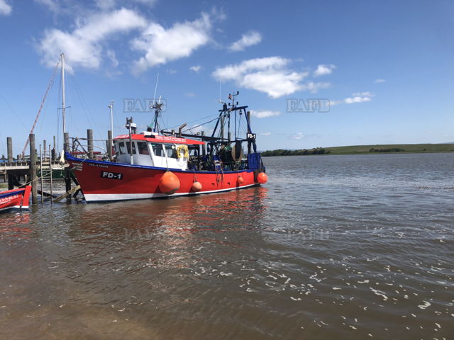 Large picture for advert 131709