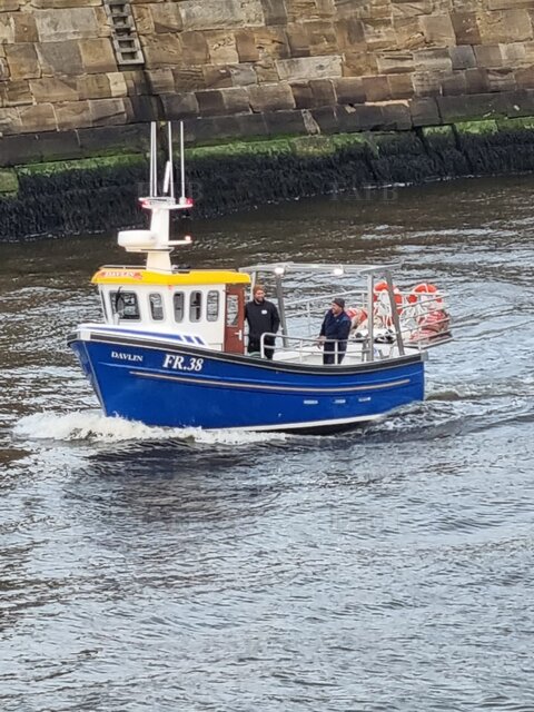 Large picture for advert 127359