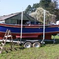 Extra picture for advert 103609