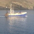 Extra picture for advert 116809